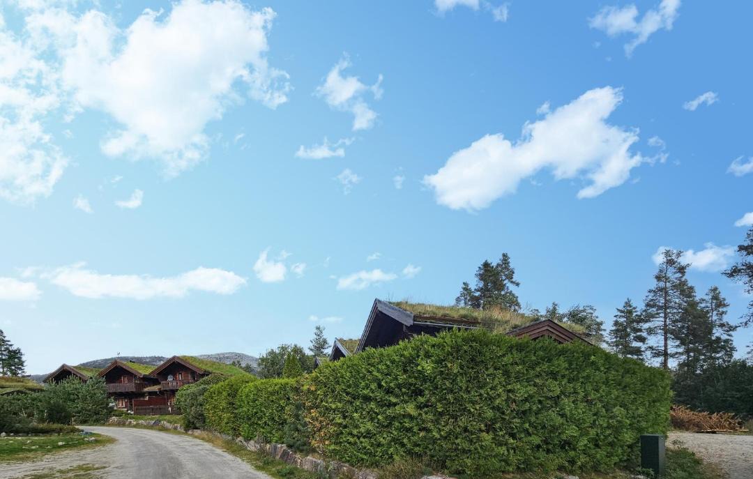 Photo of Others in Kviteseid