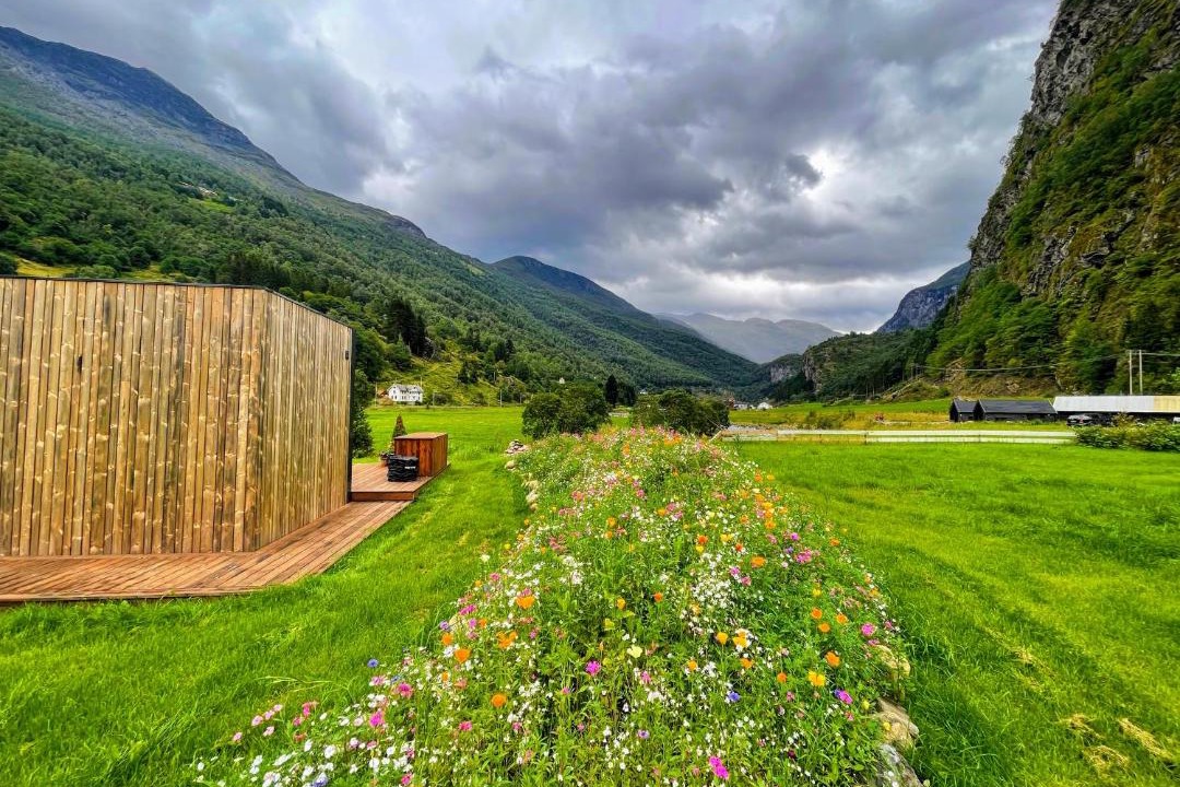 Photo of Others in Flam
