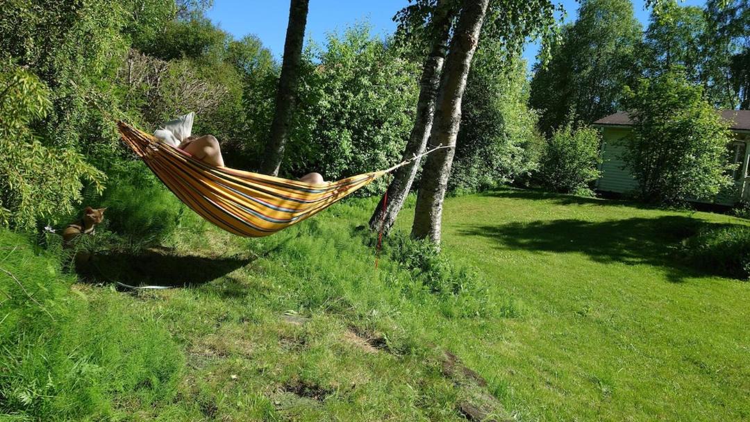 Photo of Others in Rovaniemi