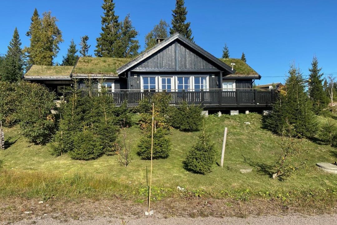 Photo of Others in Trysil