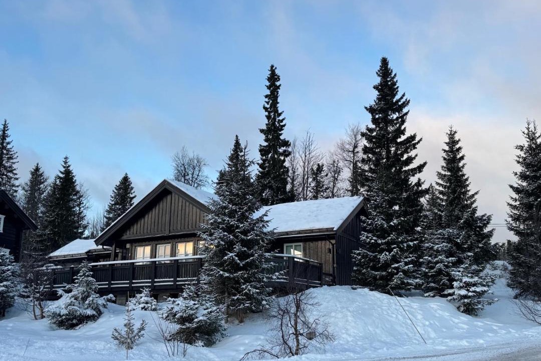 Photo of Others in Trysil