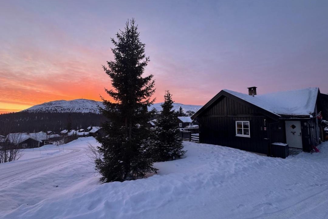 Photo of Others in Trysil