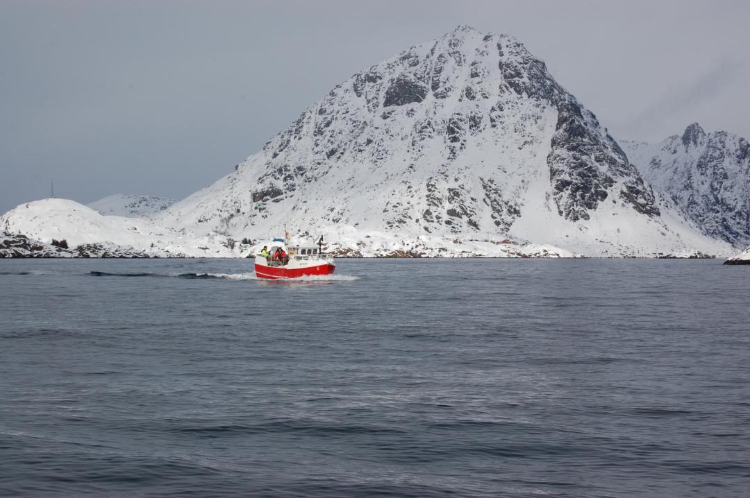 Photo of Others in Sund i Lofoten