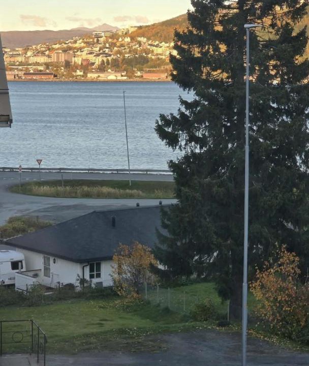 Photo of Others in Narvik