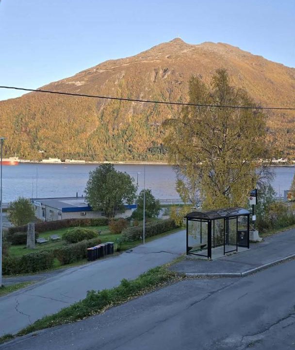 Photo of Others in Narvik