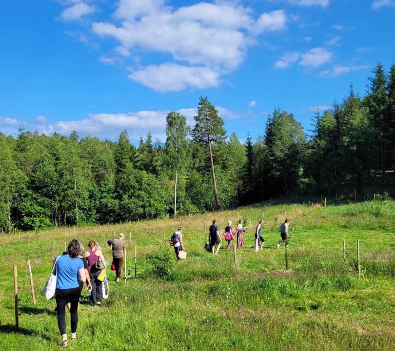 Photo of Others in Simlangsdalen