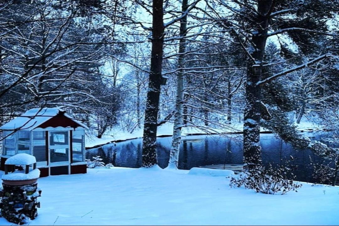 Photo of Others in Aanekoski
