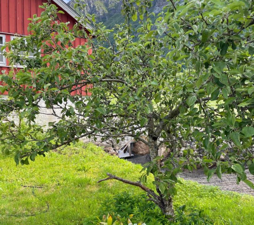 Photo of Others in Farstad
