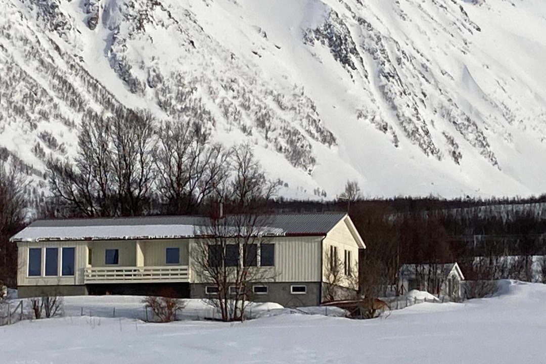 Photo of Others in Lyngen