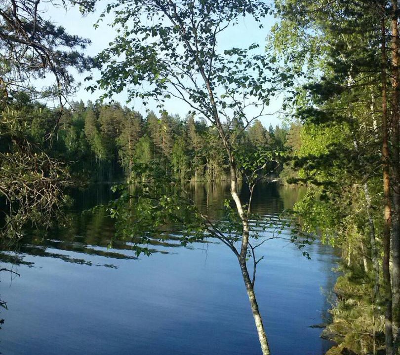 Photo of Others in Leppavirta