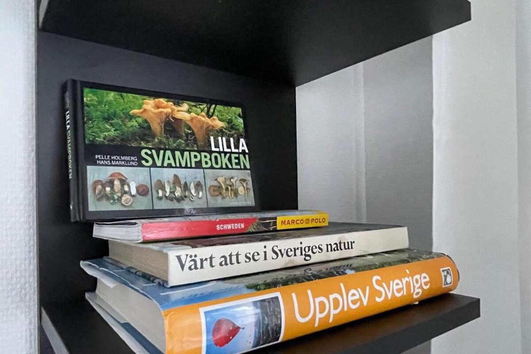 Photo of Livingroom in Undenas
