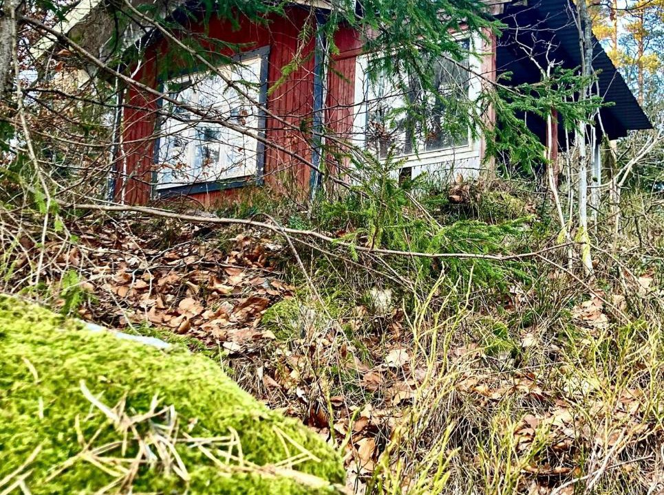 Photo of Others in Simlangsdalen