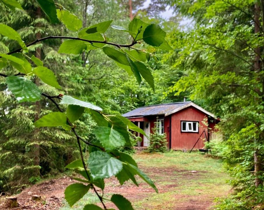 Photo of Others in Simlangsdalen