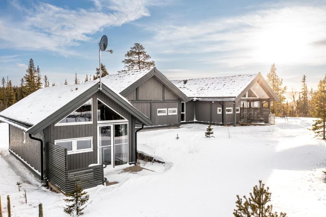 Photo of Others in Hemsedal