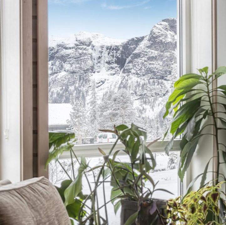 Photo of Others in Hemsedal