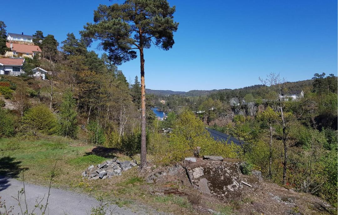 Photo of Others in Tvedestrand