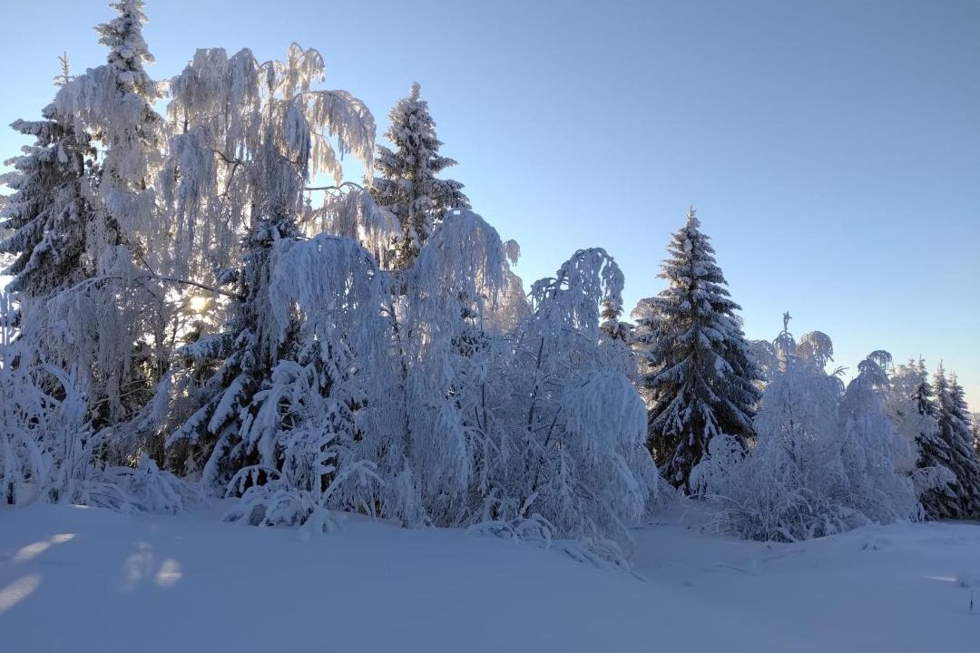 Photo of Others in Sotkamo