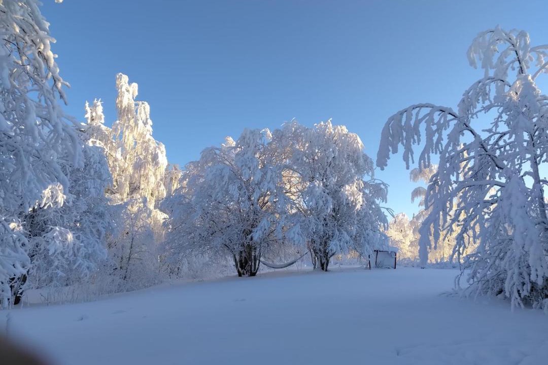 Photo of Others in Sotkamo