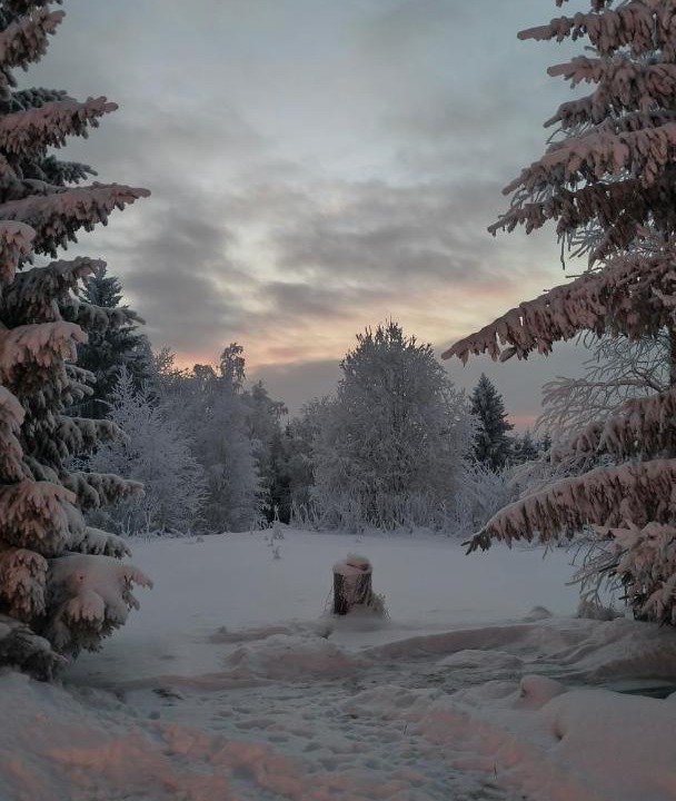 Photo of Others in Sotkamo