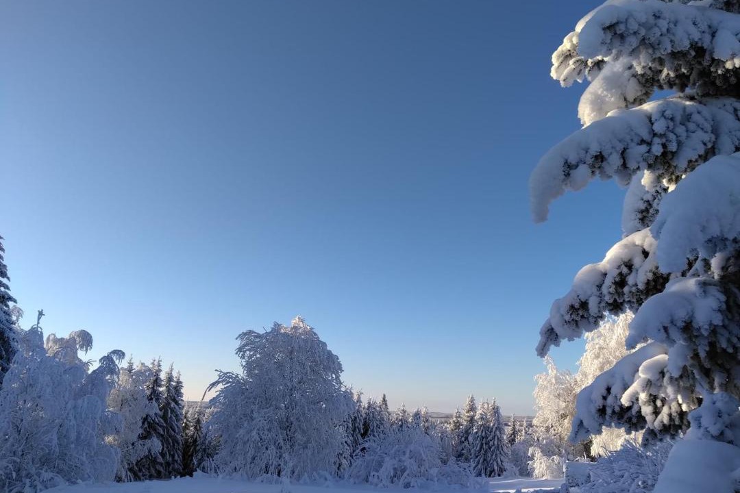 Photo of Others in Sotkamo