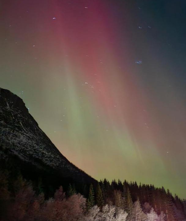 Photo of Others in Sortland