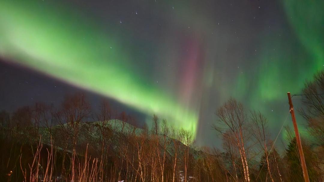 Photo of Others in Sortland