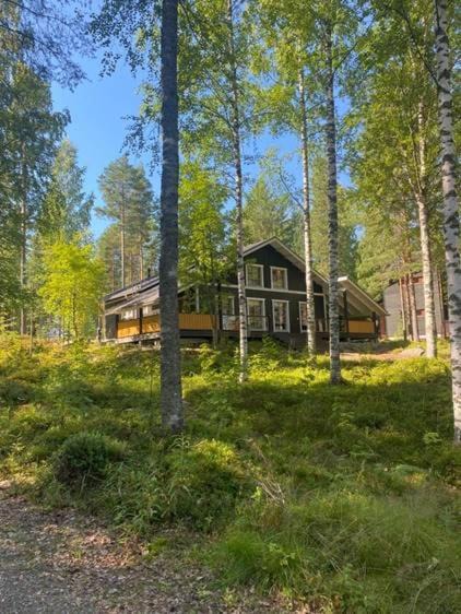Photo of Others in Koli National Park