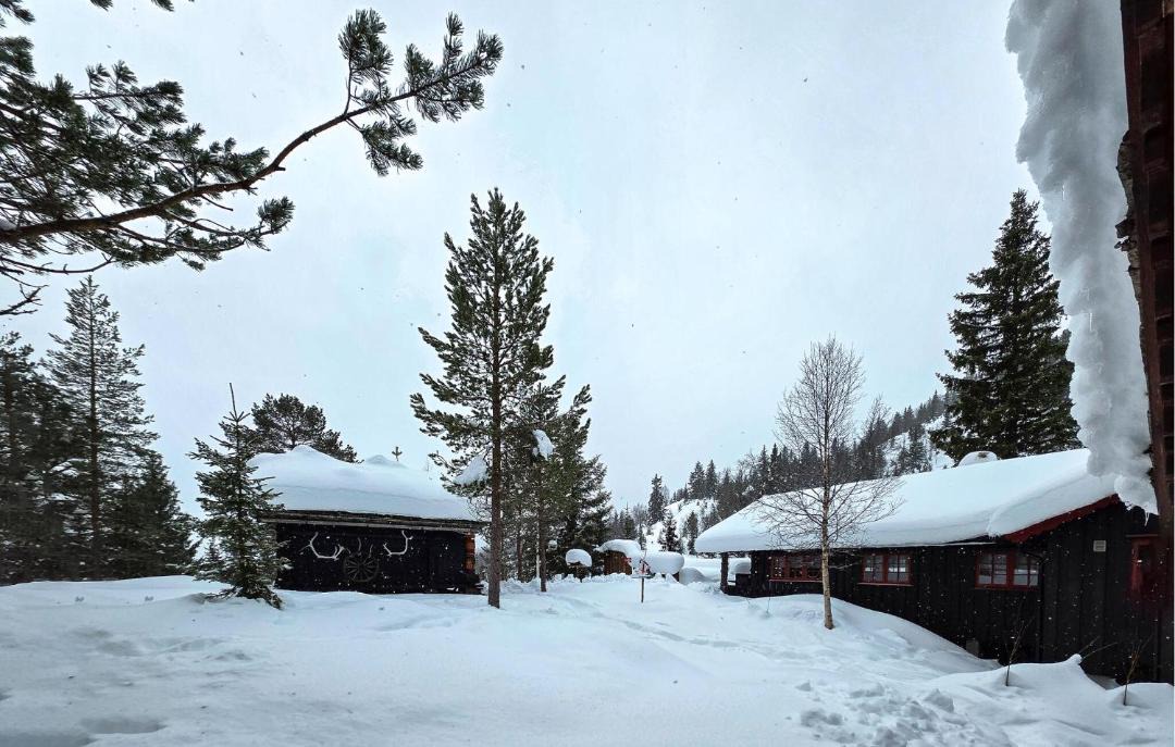 Photo of Others in Seljord