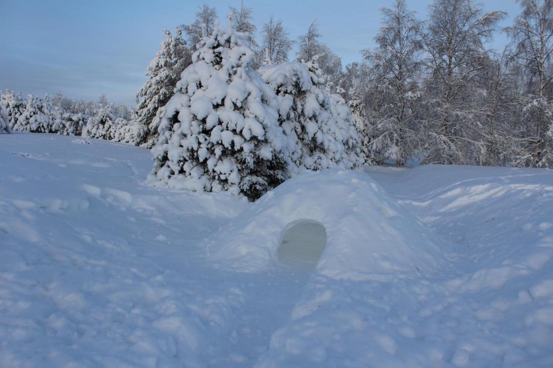 Photo of Others in Rovaniemi