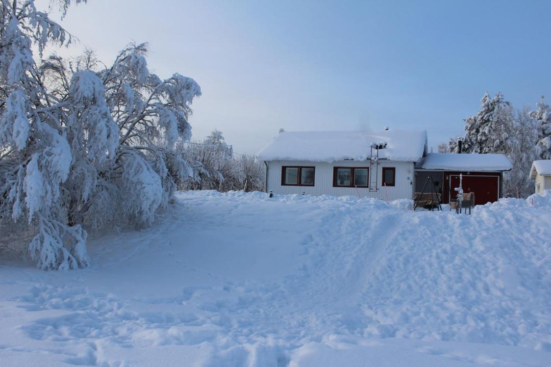 Photo of Others in Rovaniemi