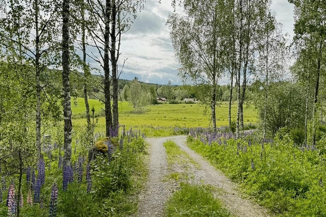 Photo of Others in Arvika