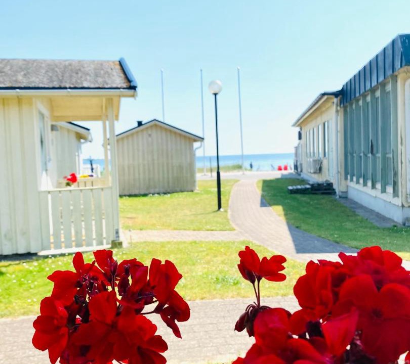 Photo of Others in Hallevik