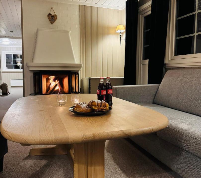 Photo of Livingroom in Hol Municipality