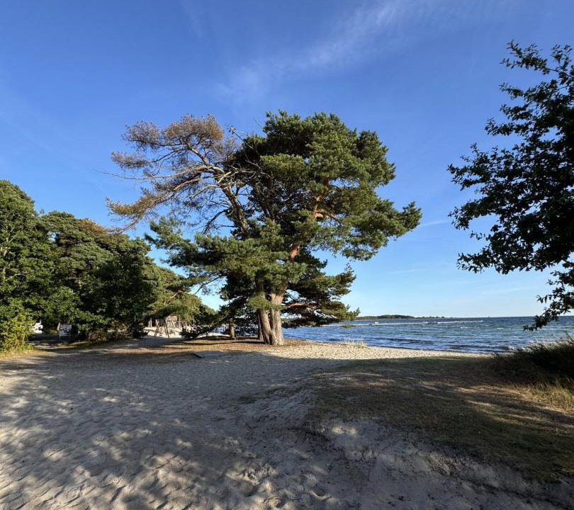 Photo of Others in Hallevik
