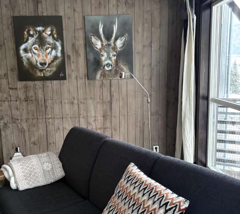 Photo of Livingroom in Hemsedal