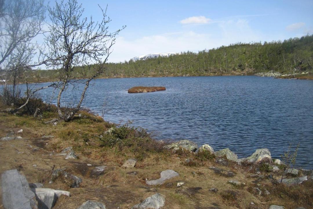 Photo of Others in Hol Municipality