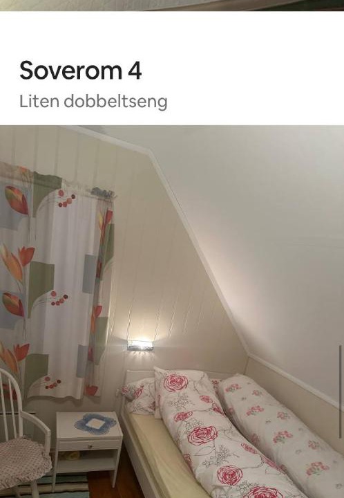 Photo of Others in Lyngen
