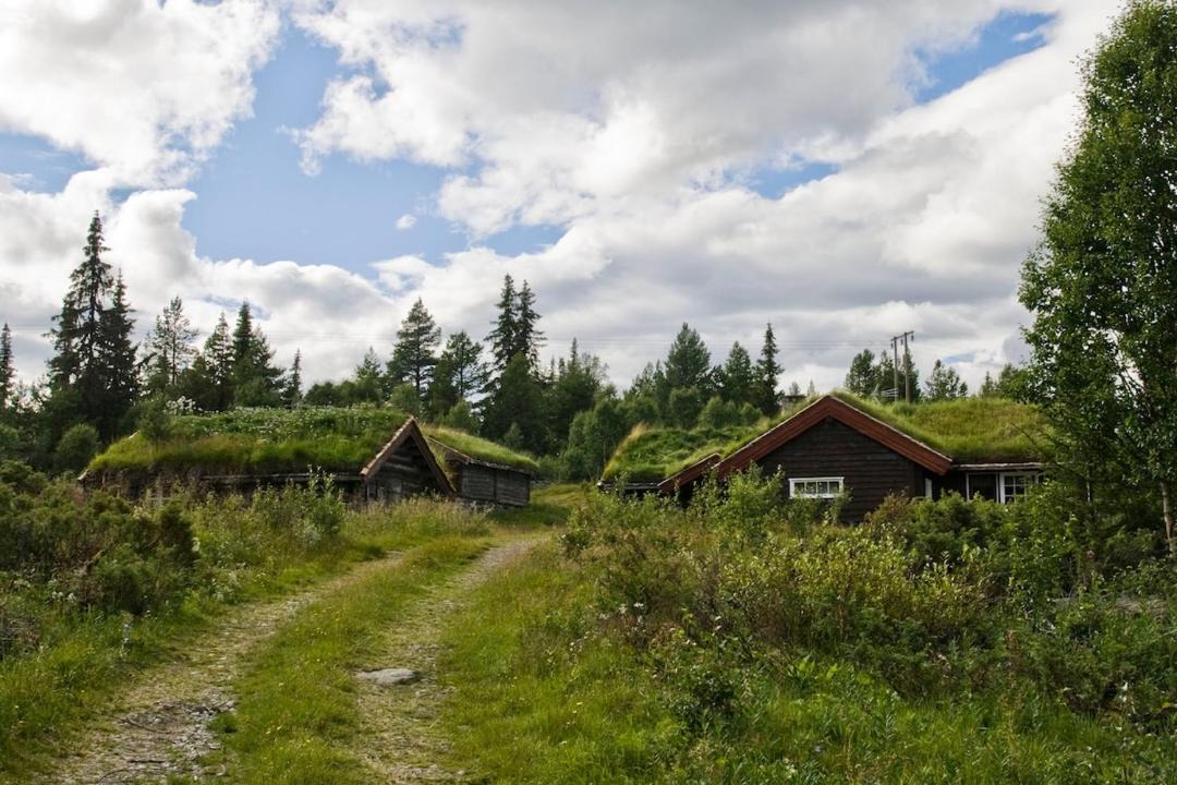 Photo of Buildings in Gol