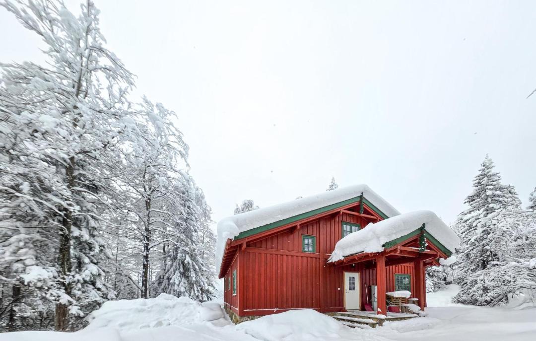 Photo of Others in Kongsberg
