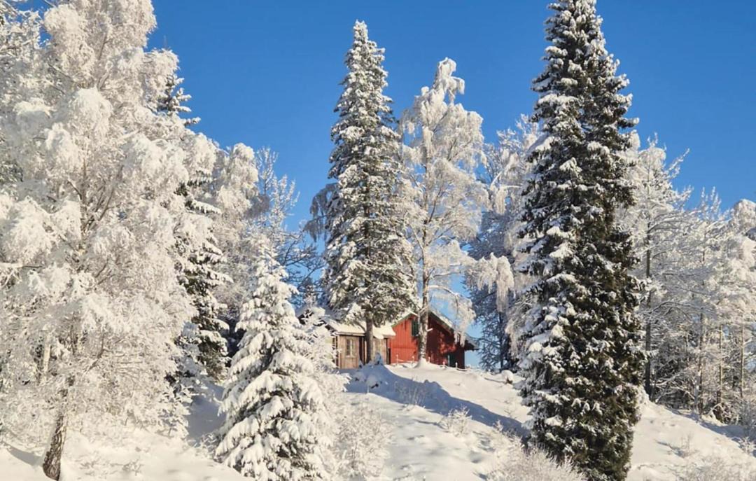 Photo of Others in Kongsberg
