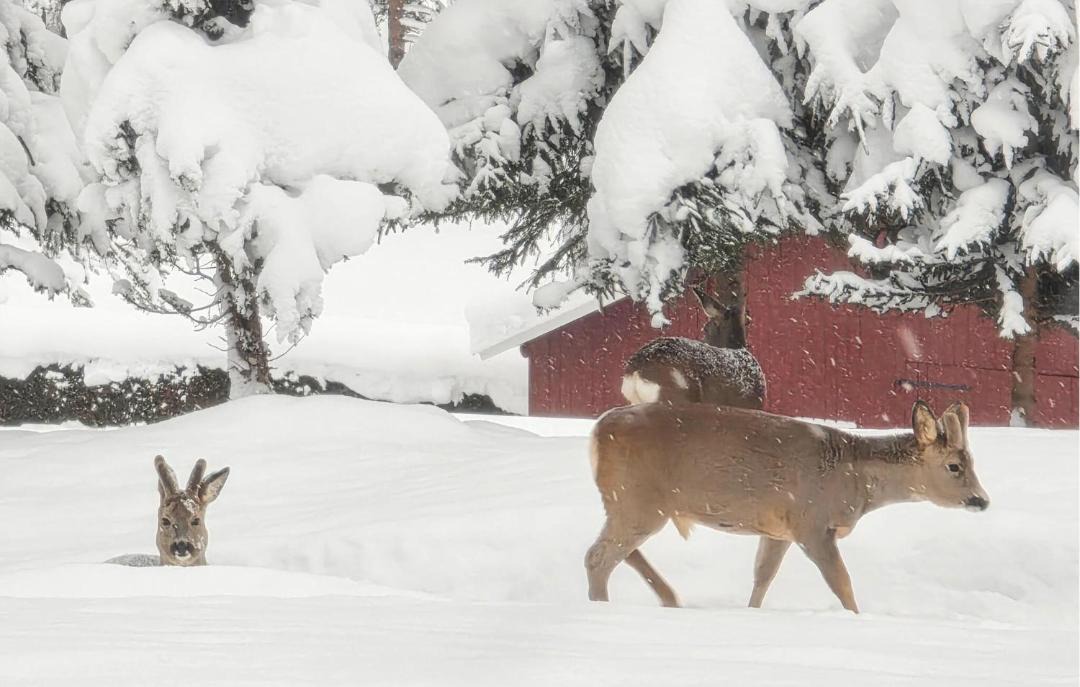 Photo of Others in Kongsberg