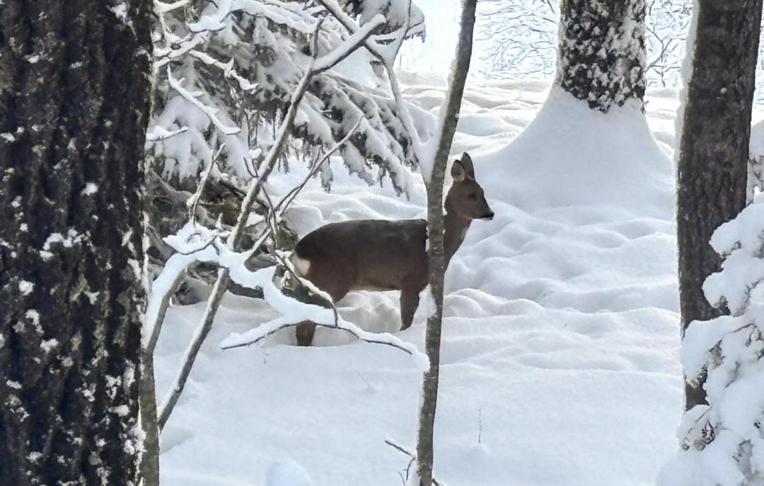 Photo of Others in Kongsberg