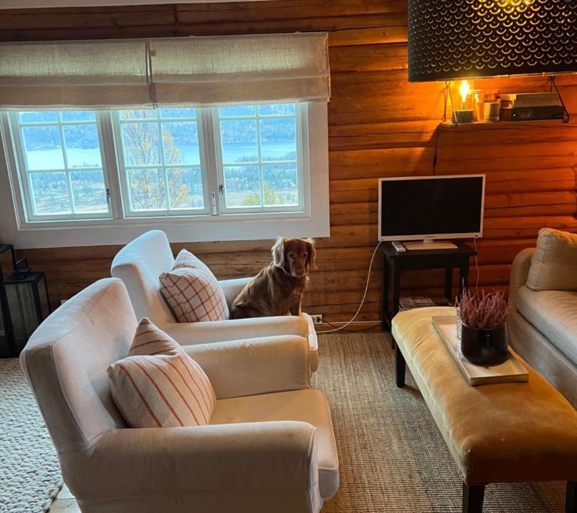 Photo of Others in Hemsedal