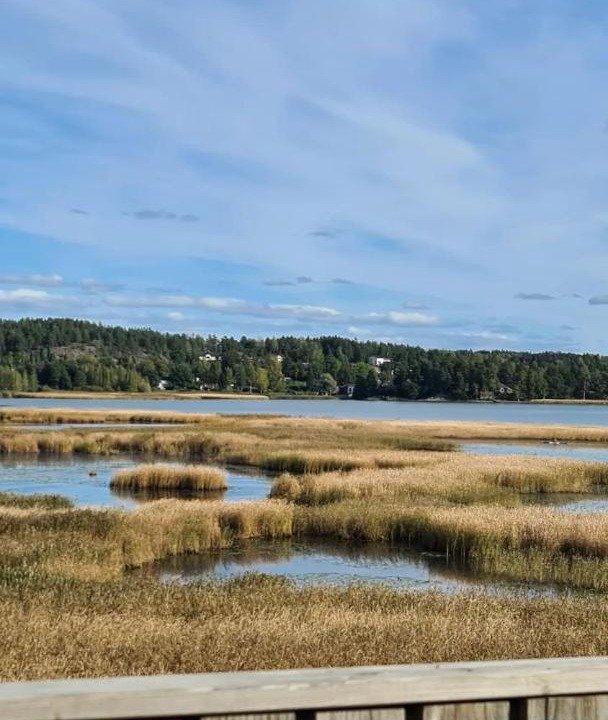 Photo of Others in Porvoo