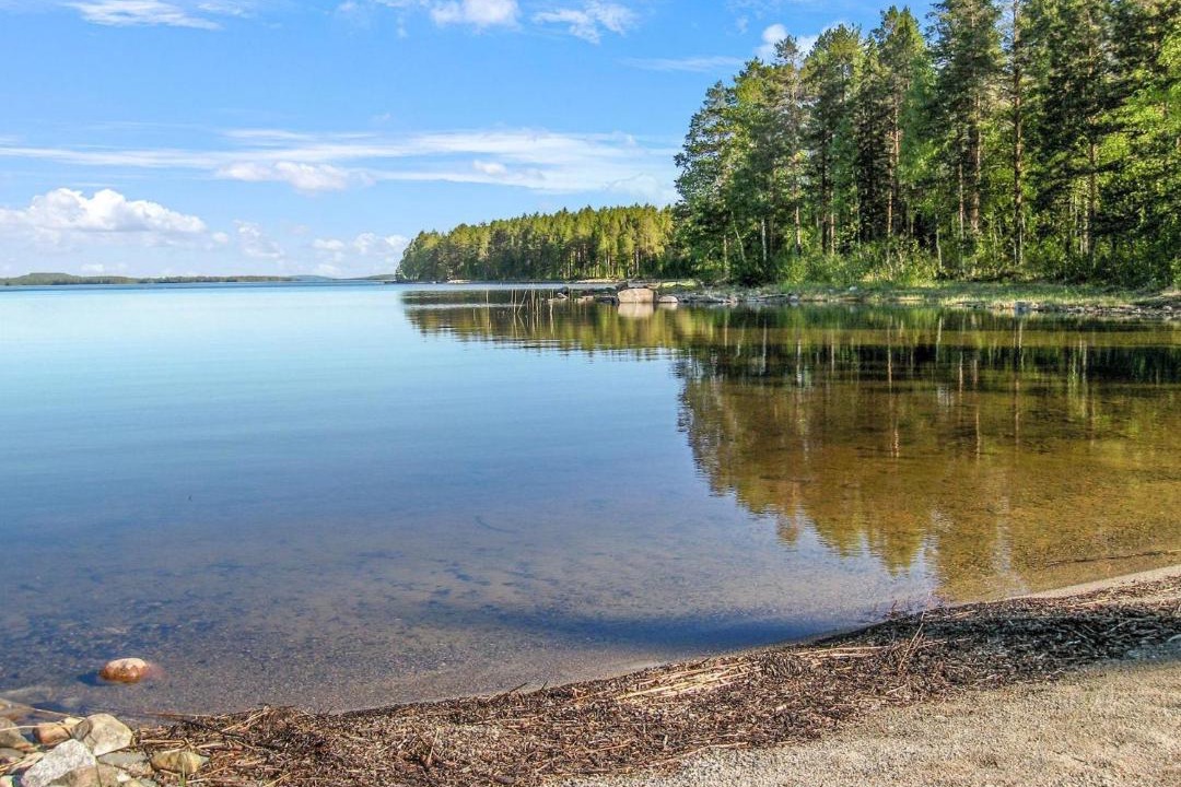Photo of Others in Koli National Park