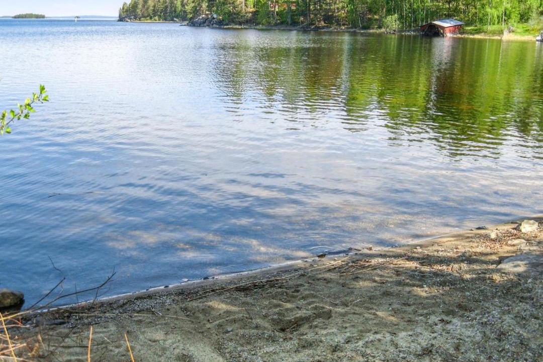 Photo of Others in Koli National Park