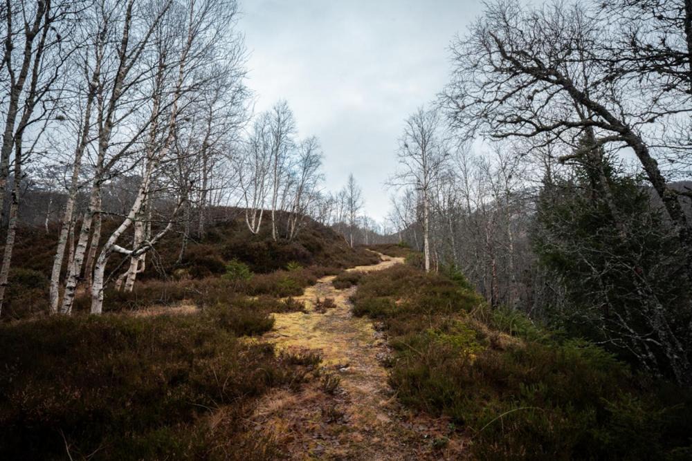 Photo of Others in Fidjeland