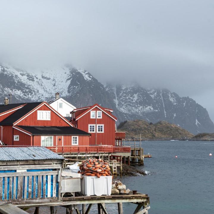 Photo of Others in Henningsvaer