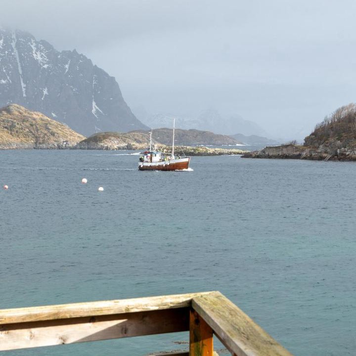 Photo of Others in Henningsvaer
