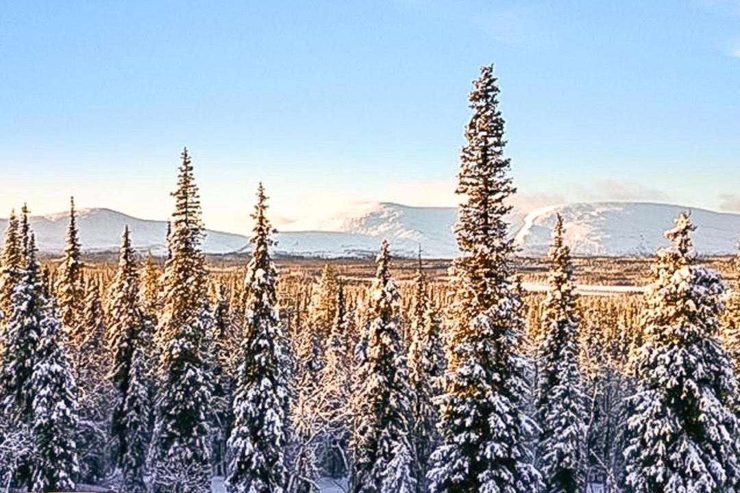 Photo of Others in Tunturi-Lappi
